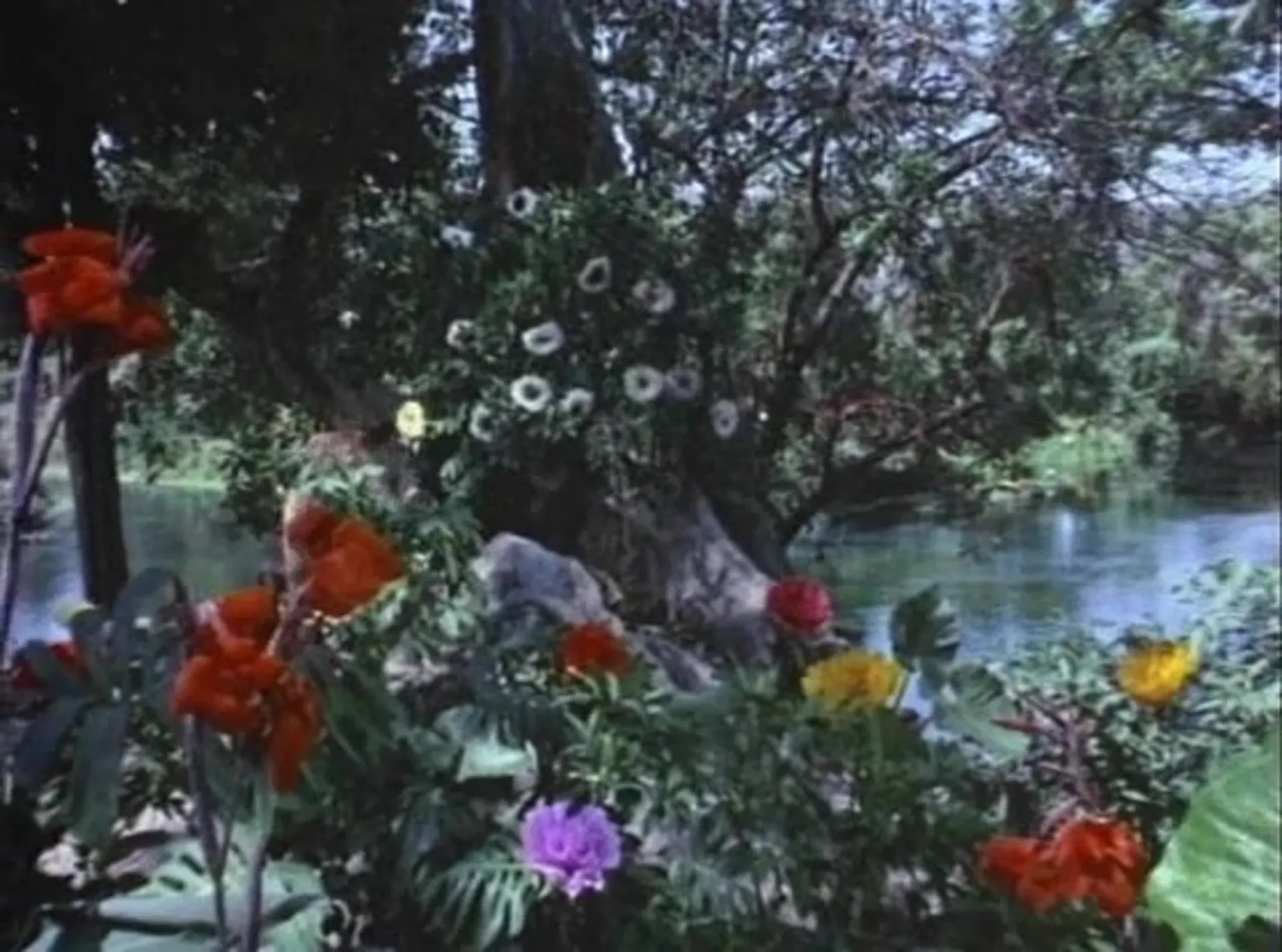 The Sin of Adam and Eve scene still 6