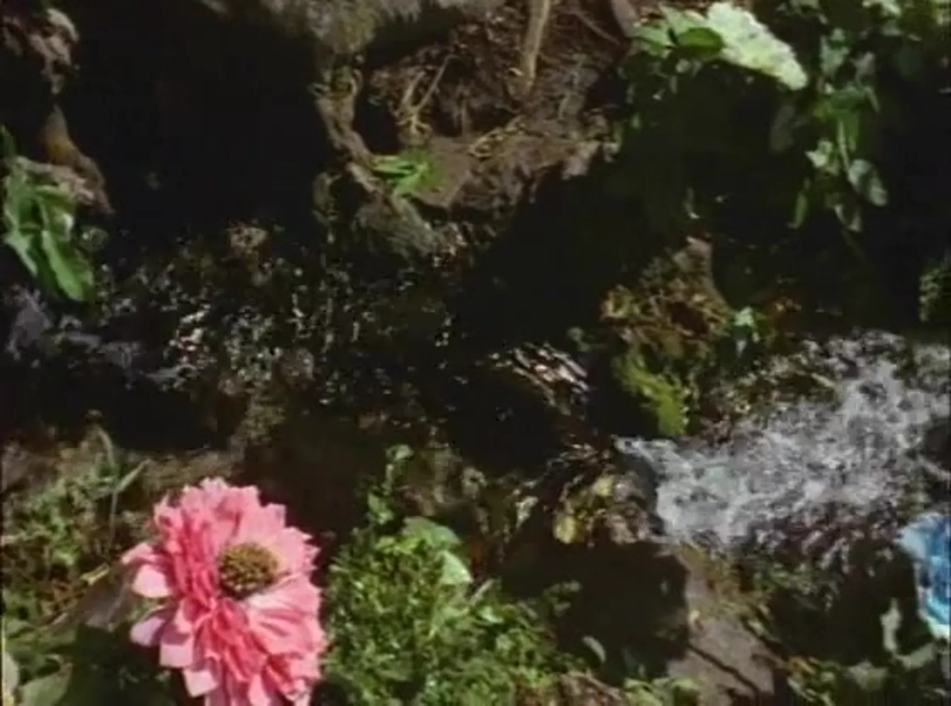 The Sin of Adam and Eve scene still 3