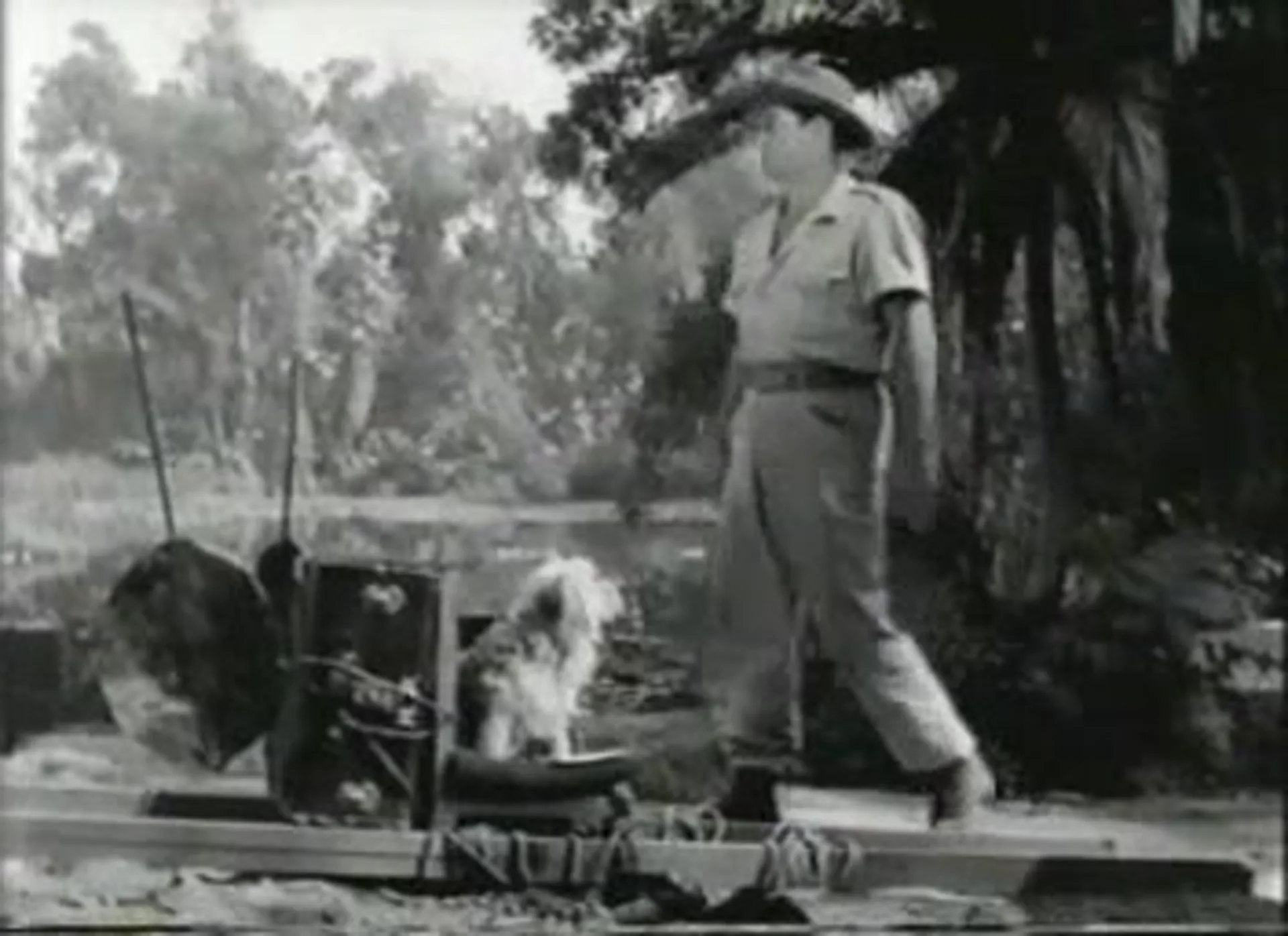 Jungle Jim scene still 3