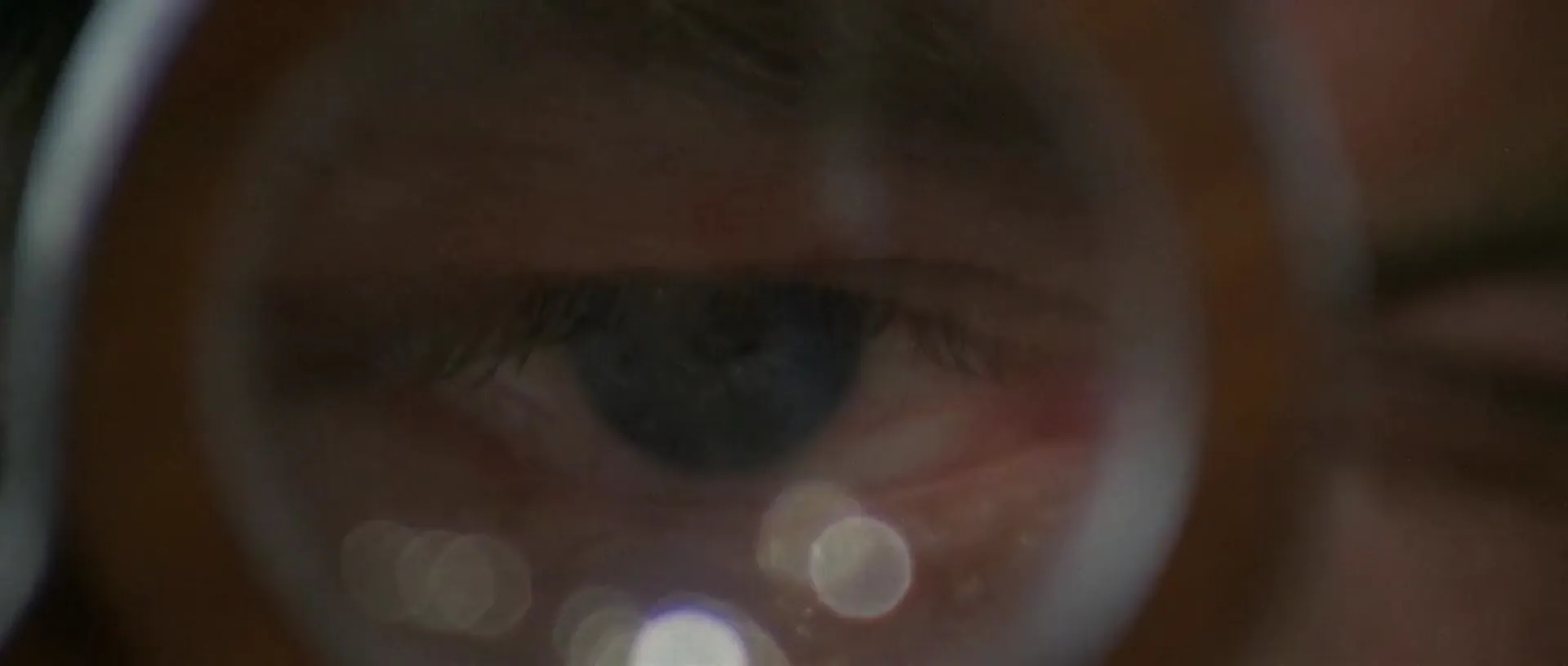 The Case of the Bloody Iris scene still 3