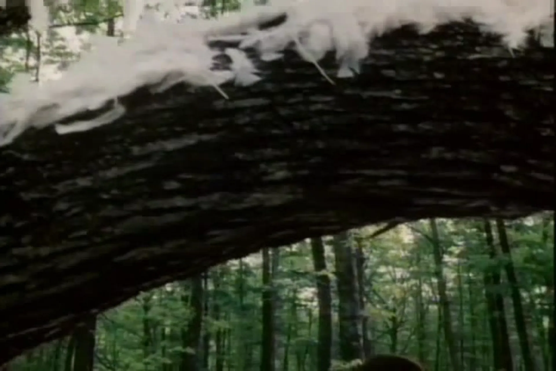 Eyes of Fire scene still 3
