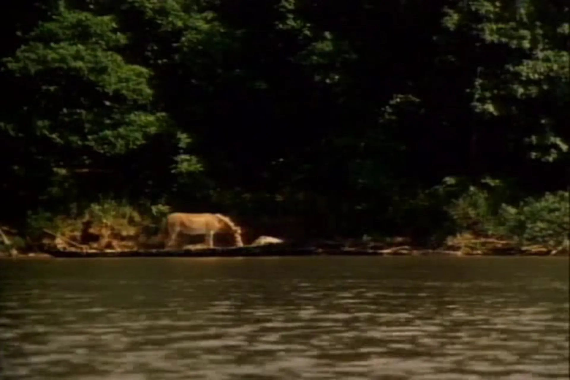 Eyes of Fire scene still 2