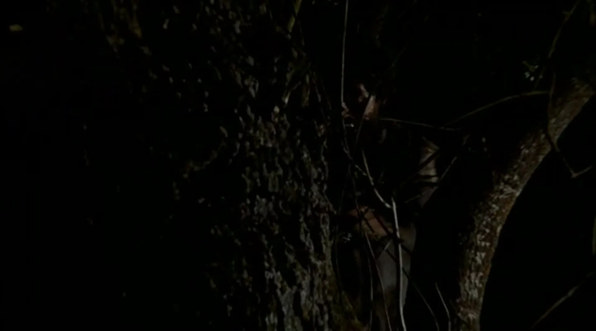 Curse of the Devil scene still 4