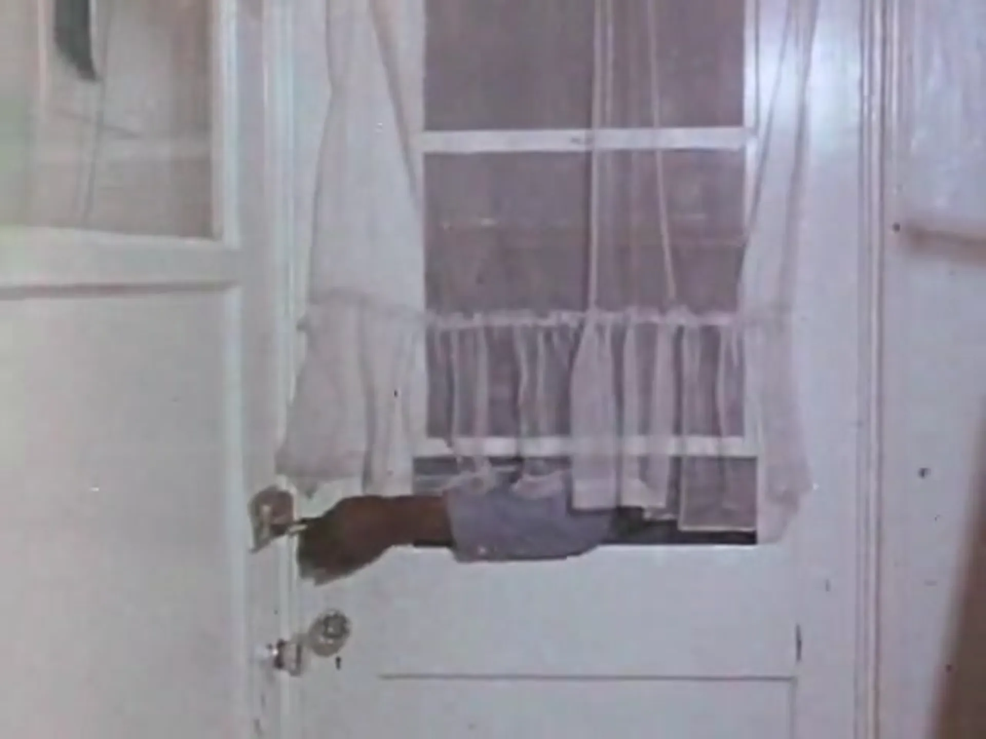 Night of the Animals scene still 3