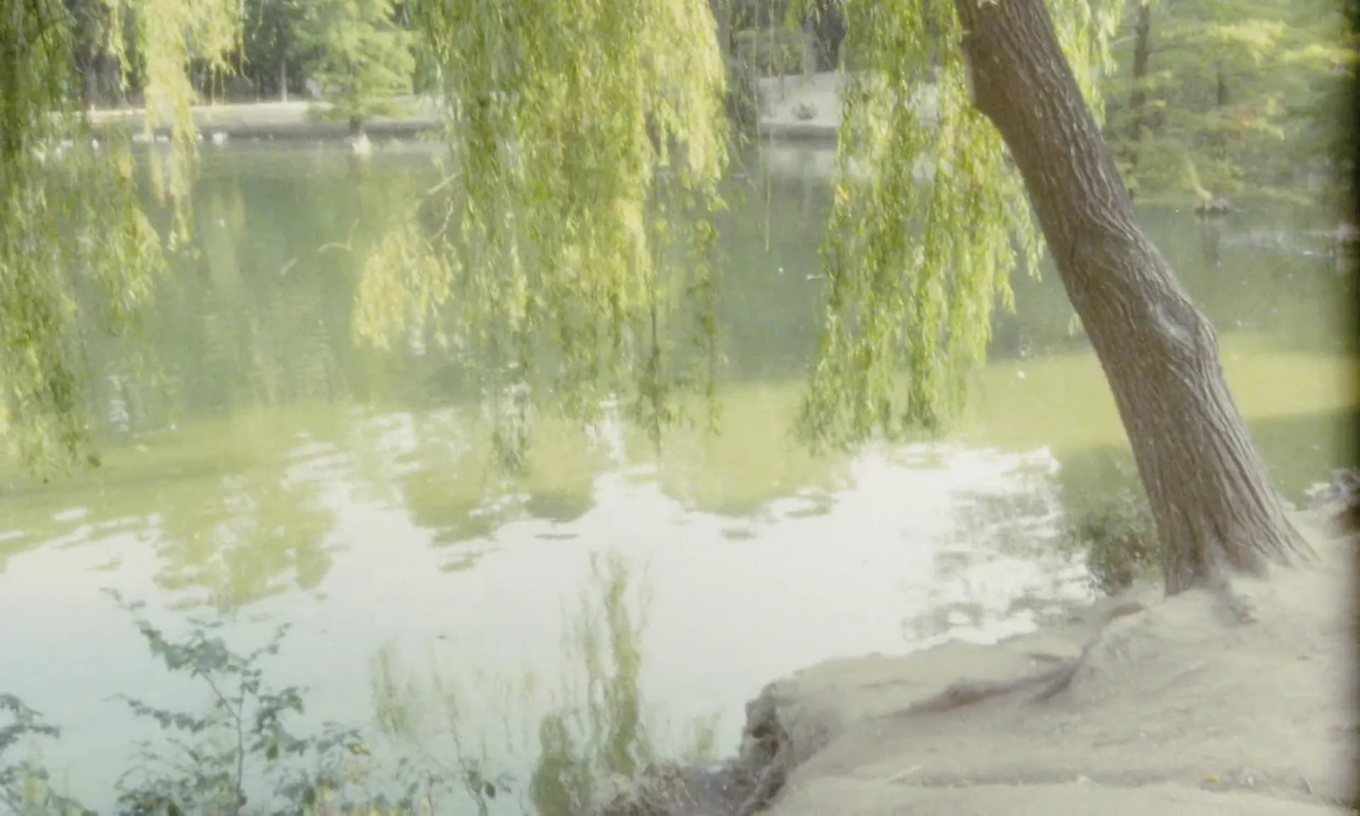 Black Venus scene still 2