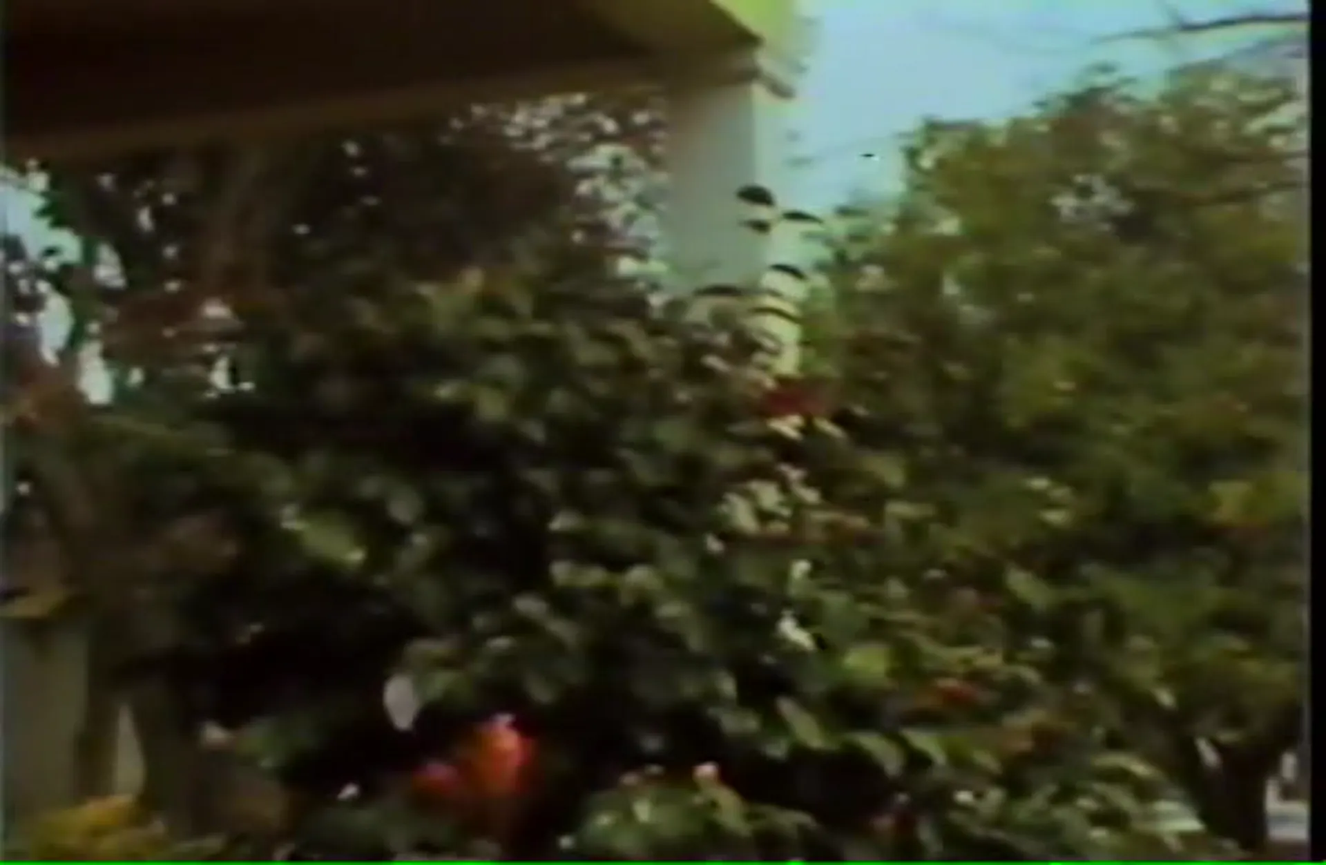 Blood Orgy of the Leather Girls scene still 6