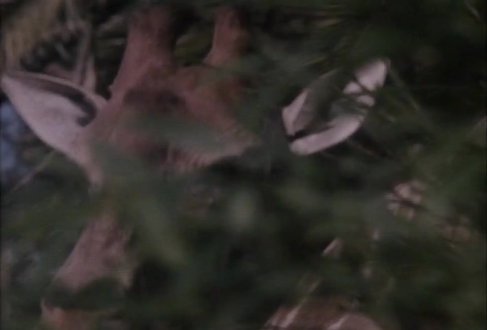 Second Time Lucky scene still 1