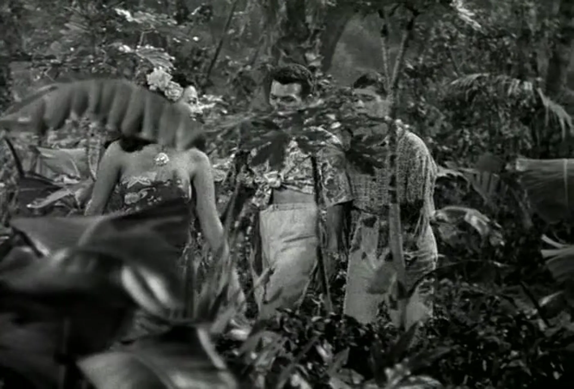 Bela Lugosi Meets a Brooklyn Gorilla scene still 3