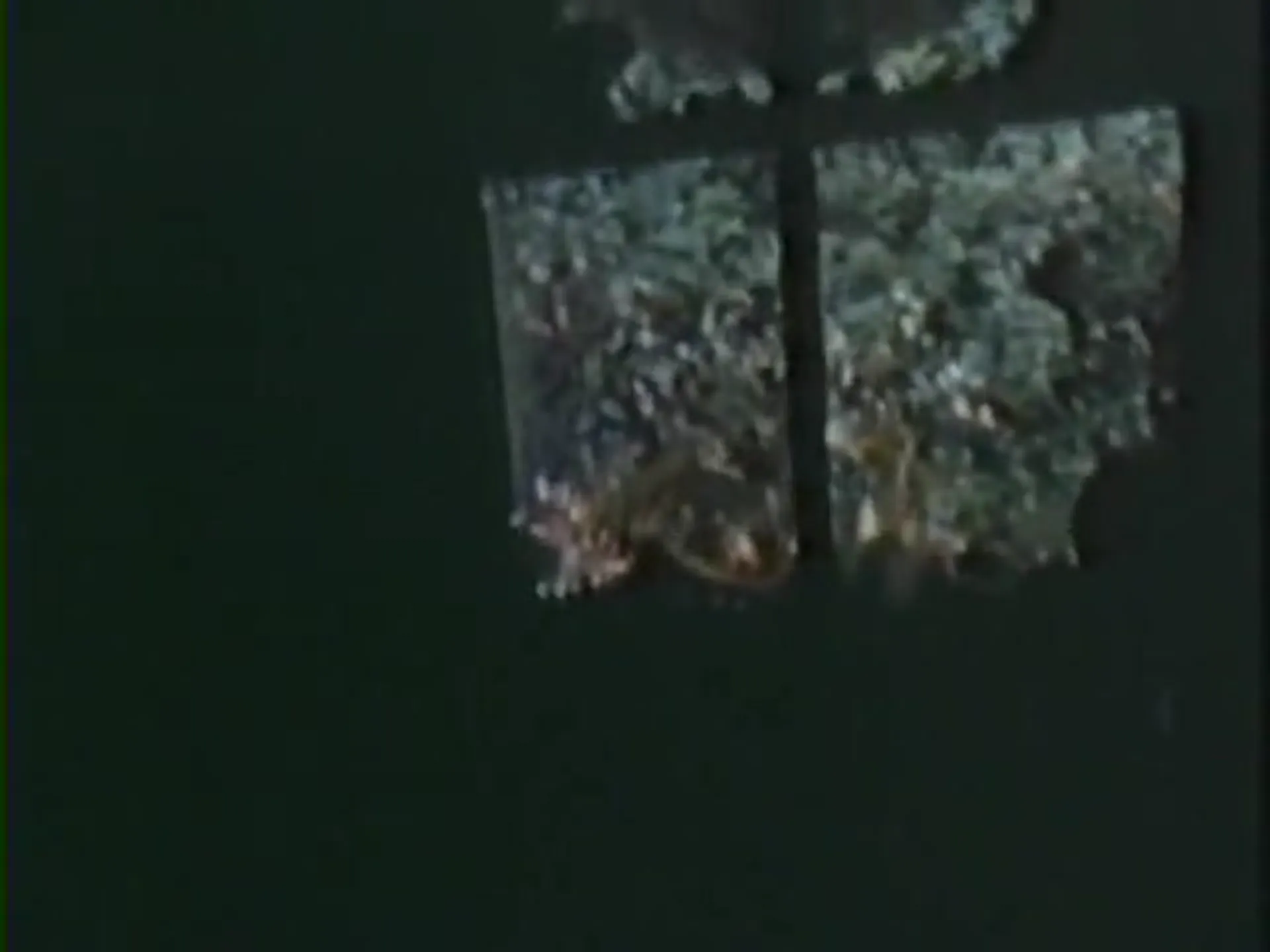 The Secret of Seagull Island scene still 6
