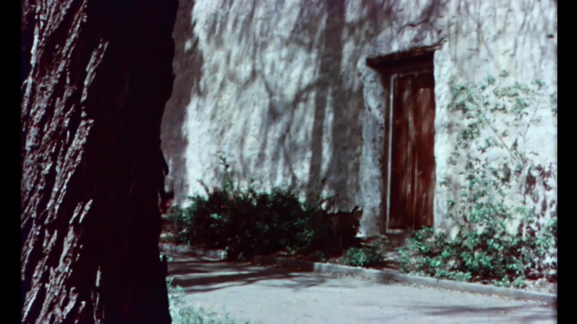 Kipling's Women scene still 1