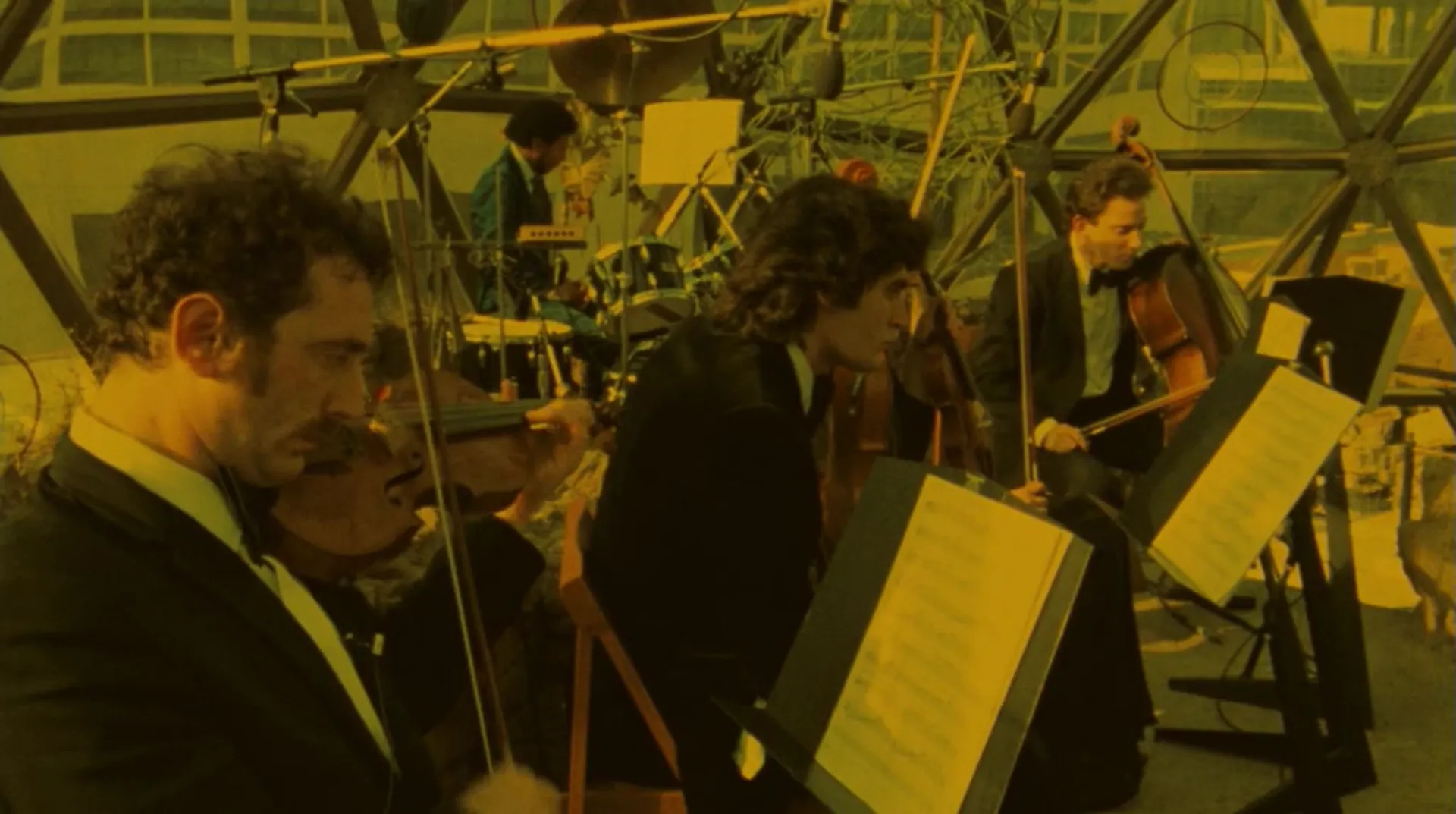 Ornette: Made in America scene still 6