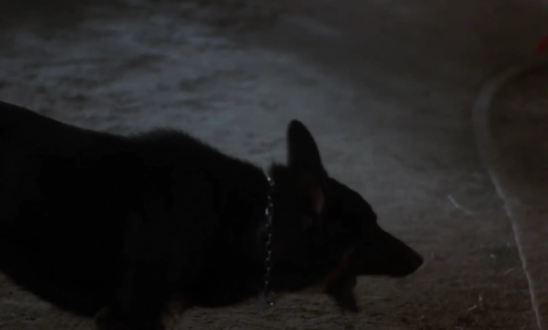 Deadfall scene still 4