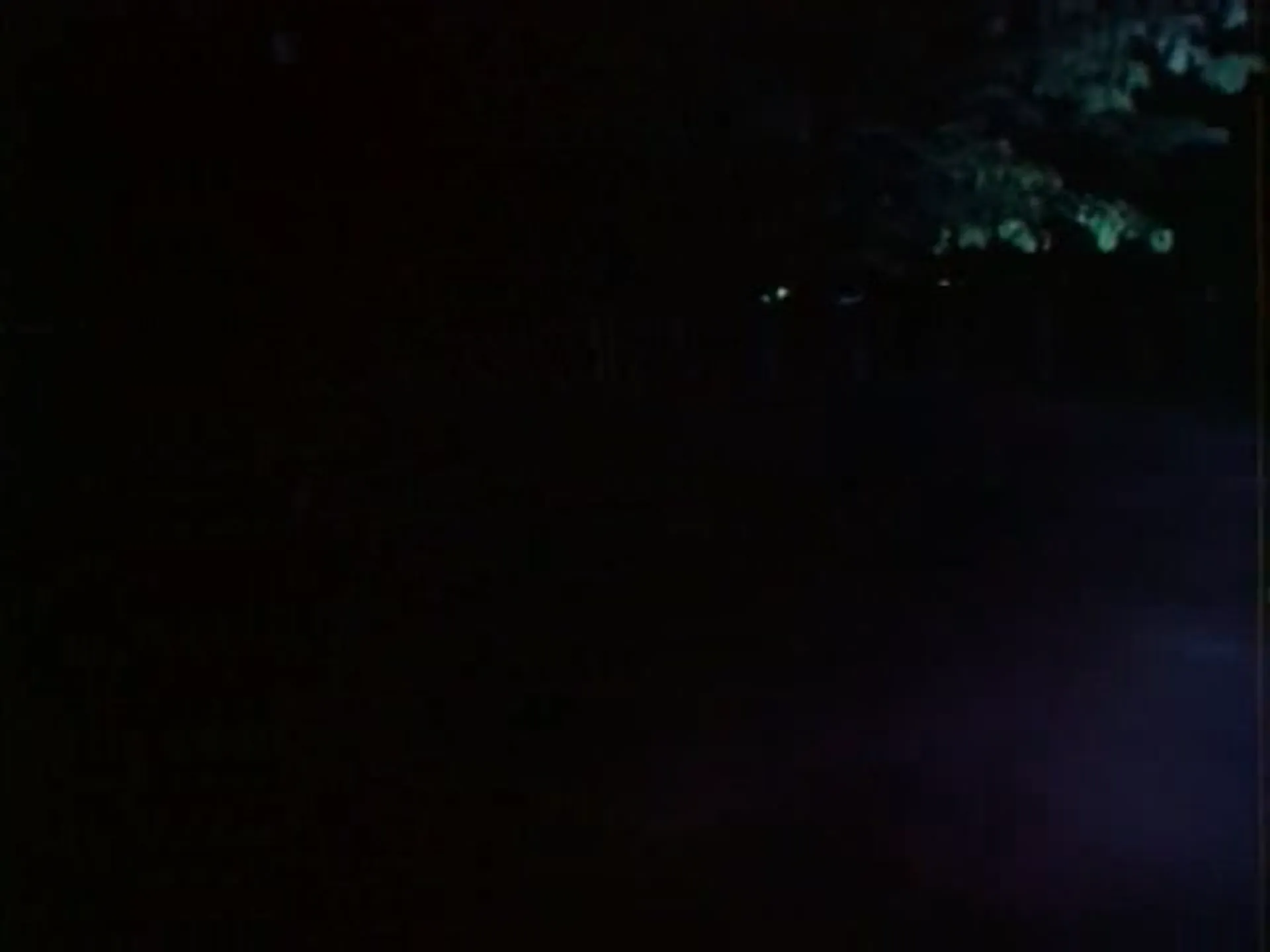 Velvet Smooth scene still 2