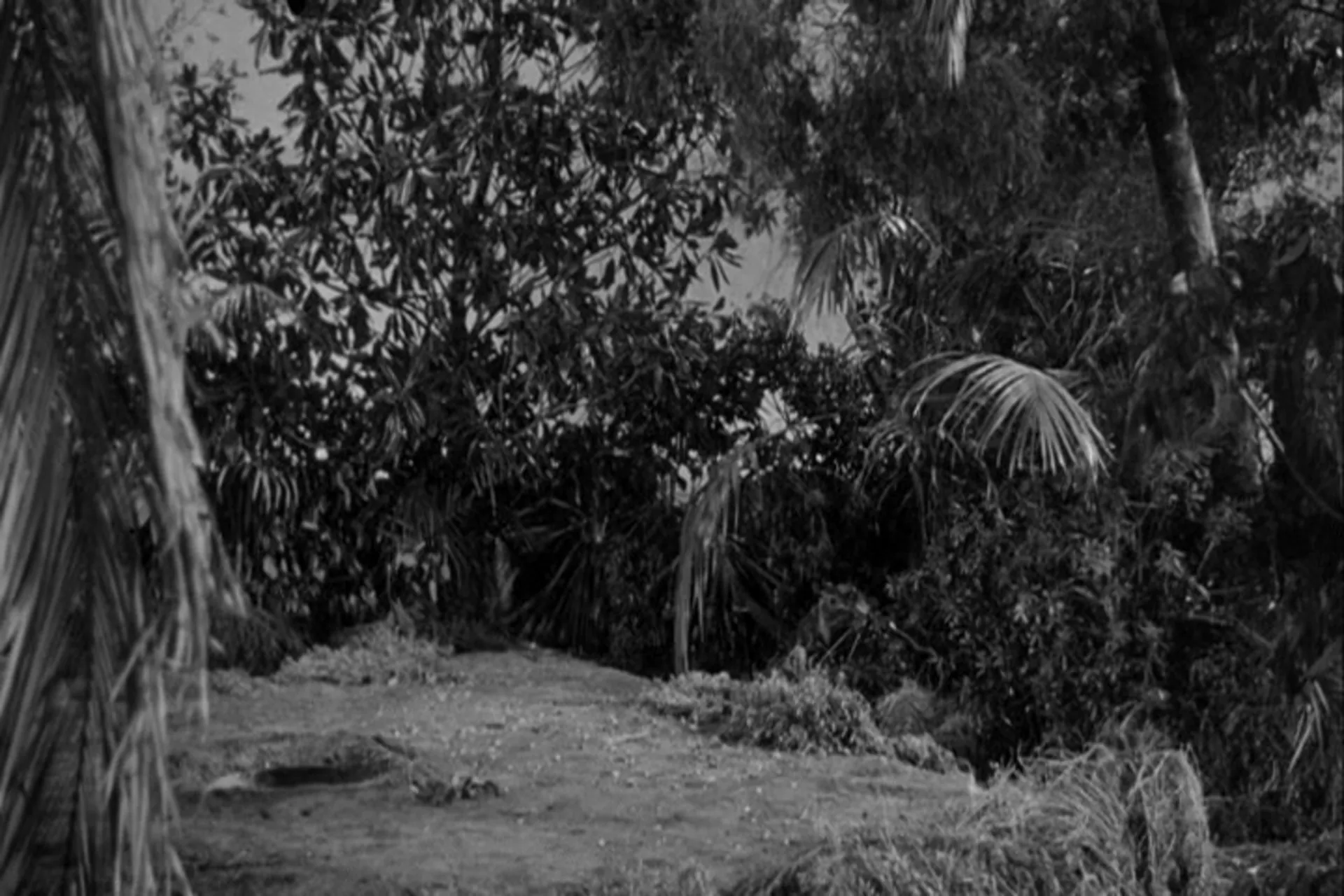 The Disembodied scene still 4