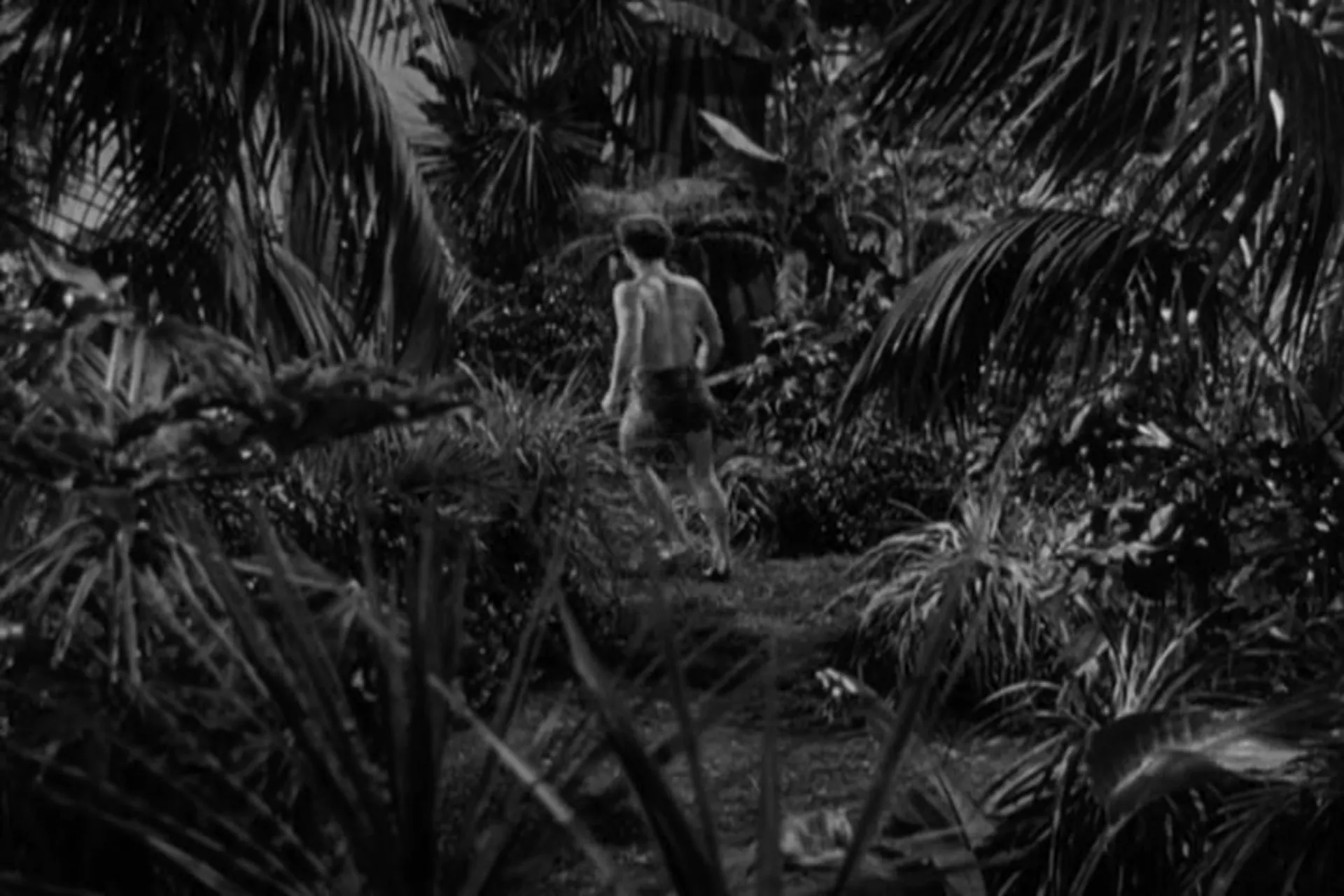 Bomba, the Jungle Boy scene still 5