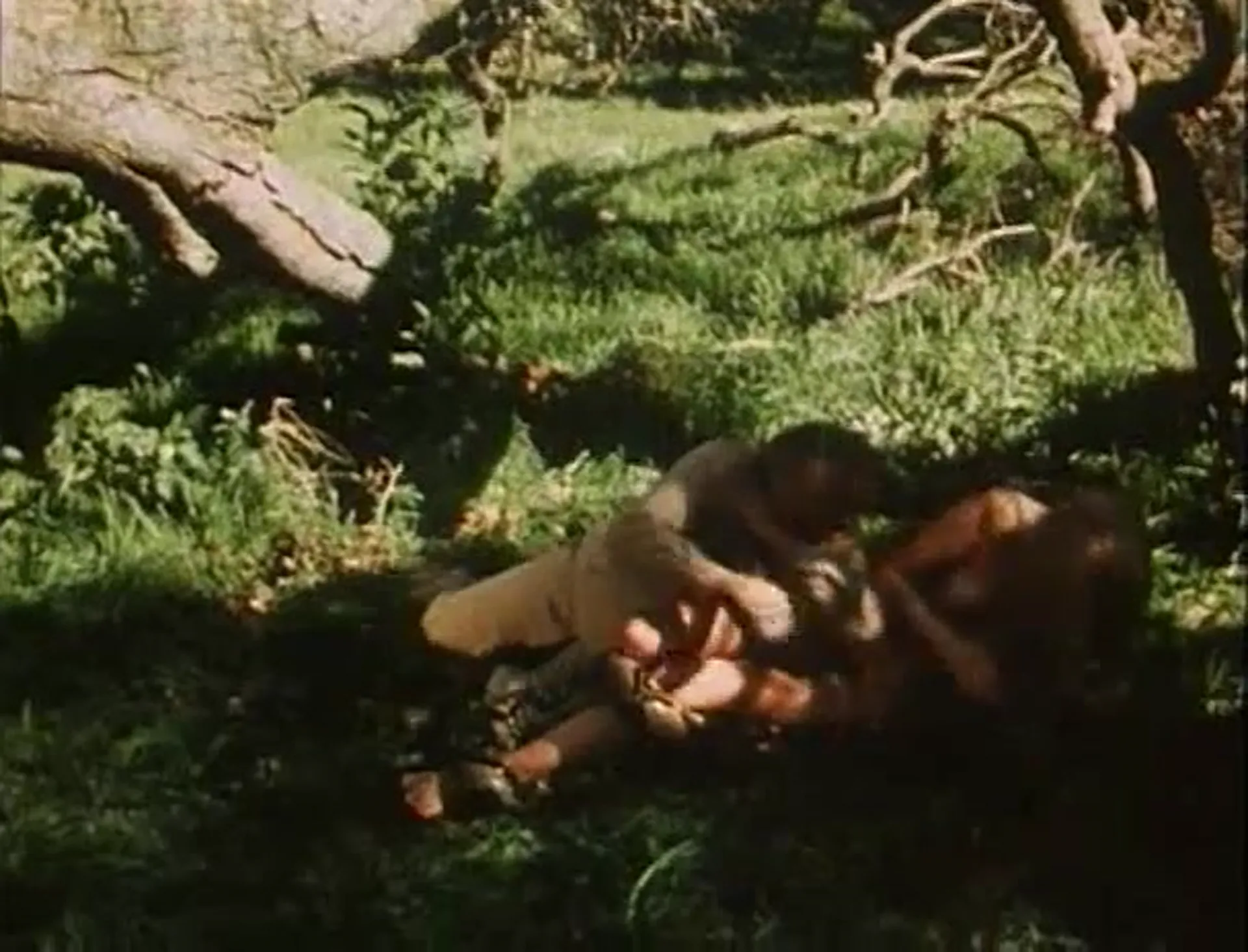 Africa Erotica: A Happening in Africa scene still 4