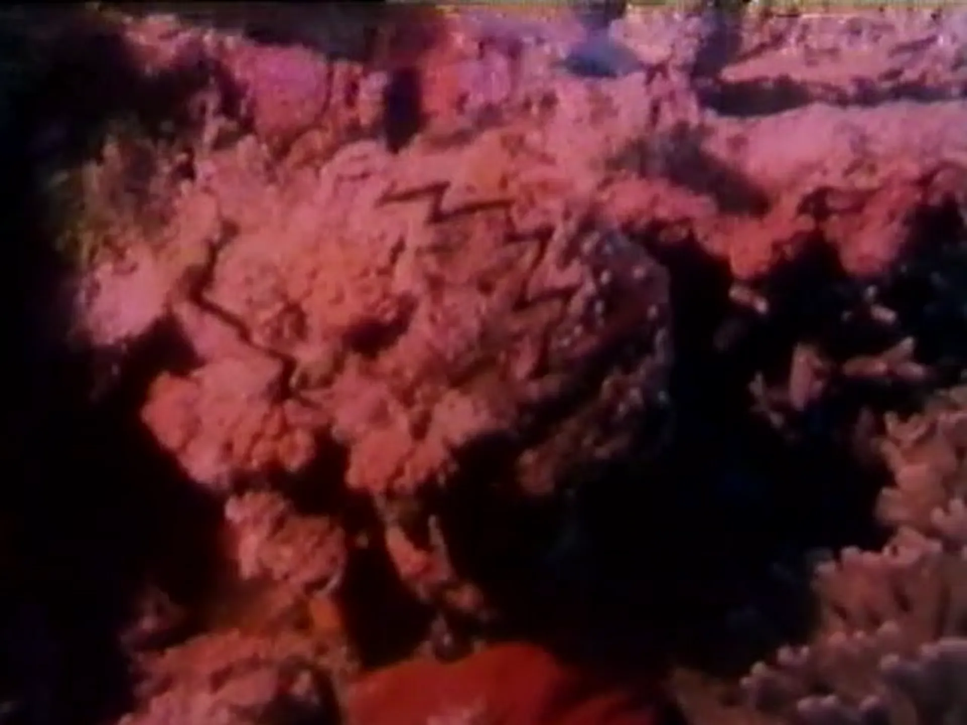 Wet Gold scene still 4