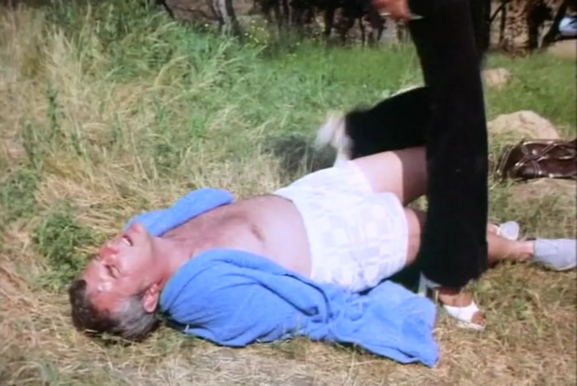 Pets scene still 2