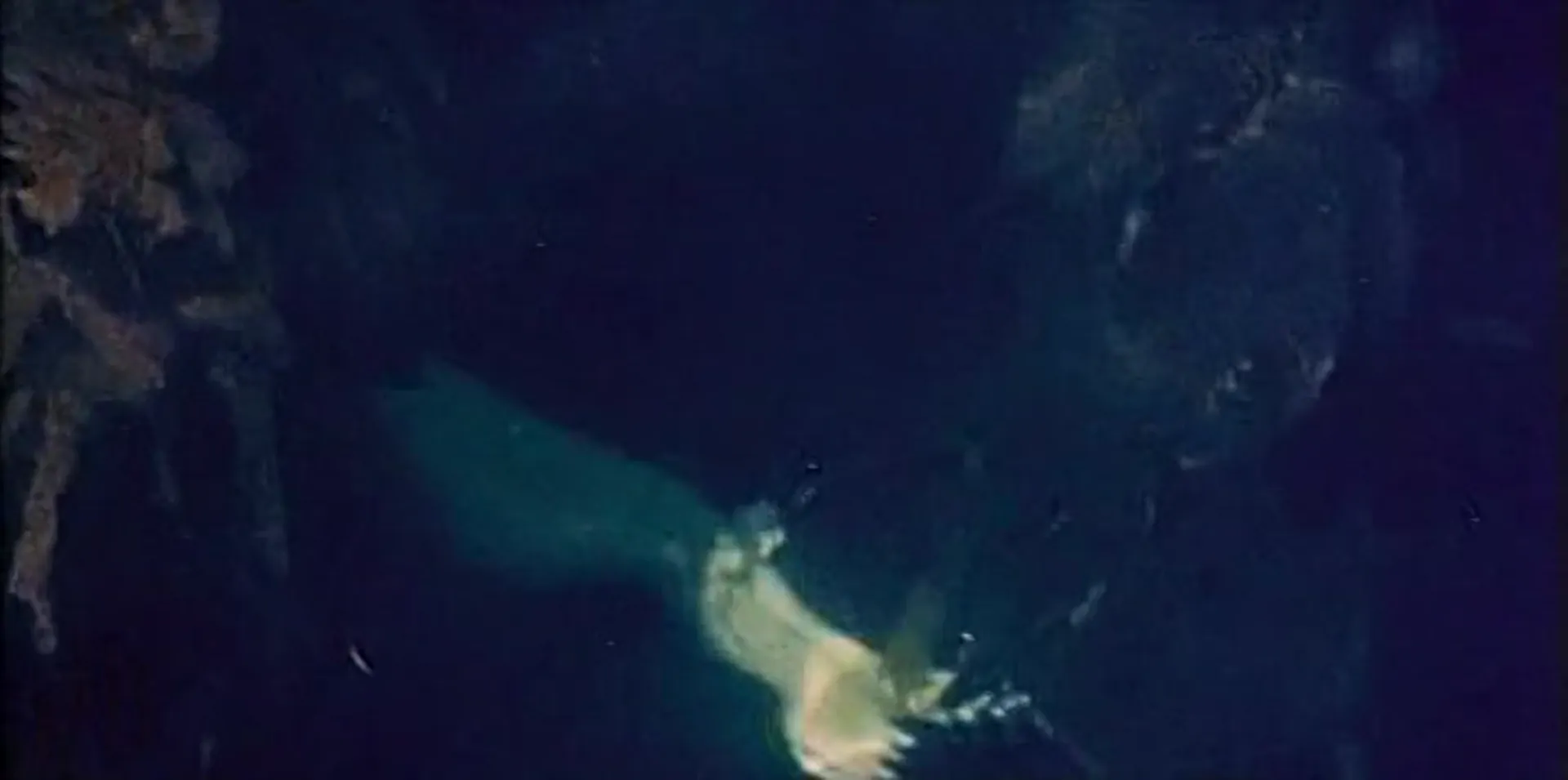 Mermaids of Tiburon scene still 3