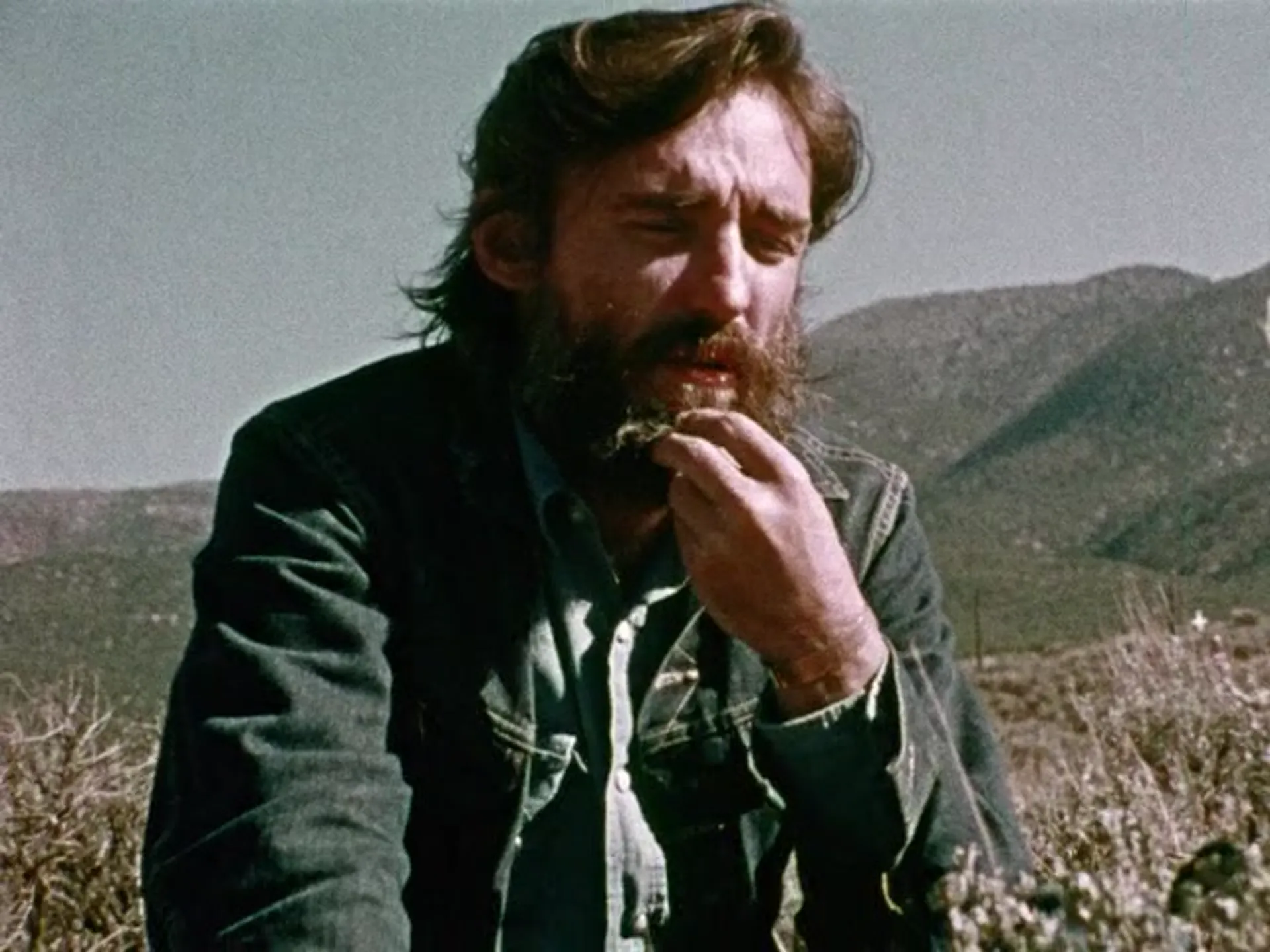The American Dreamer scene still 1