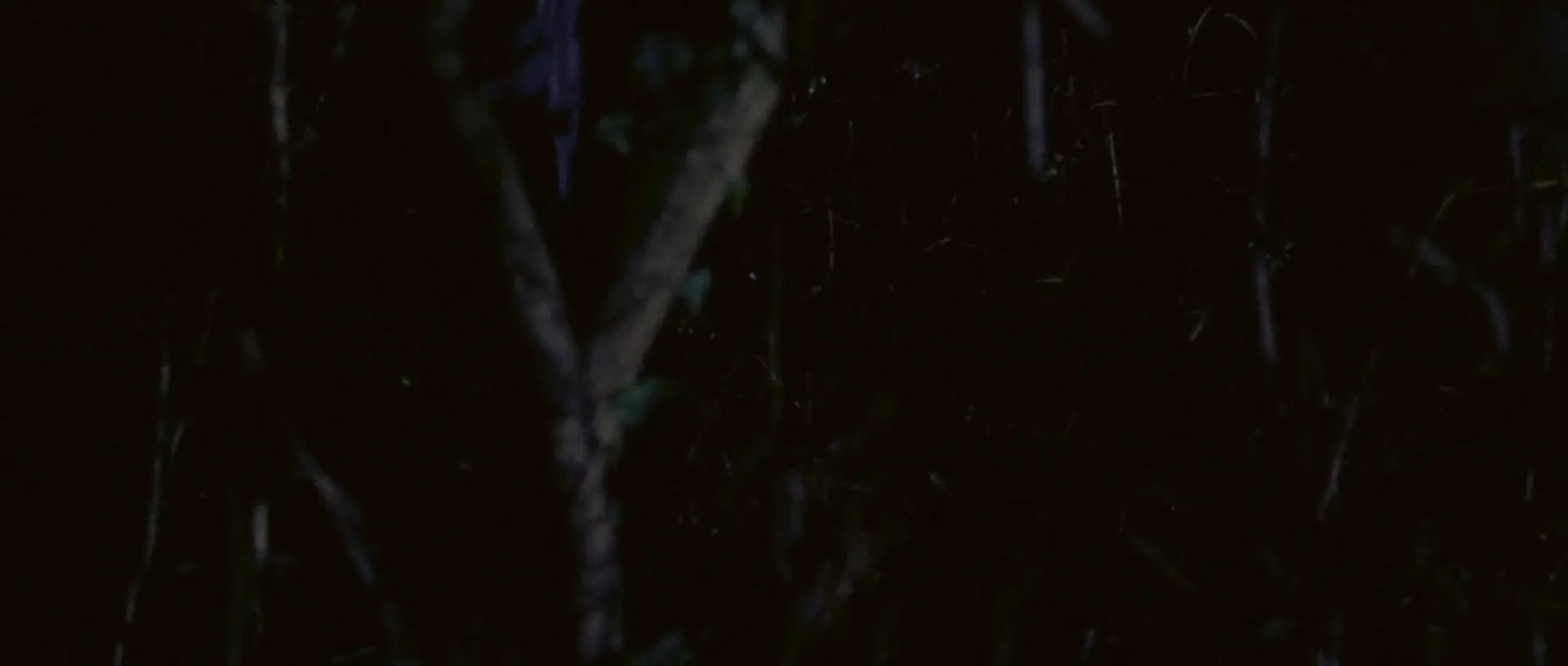 The Hired Killer scene still 8