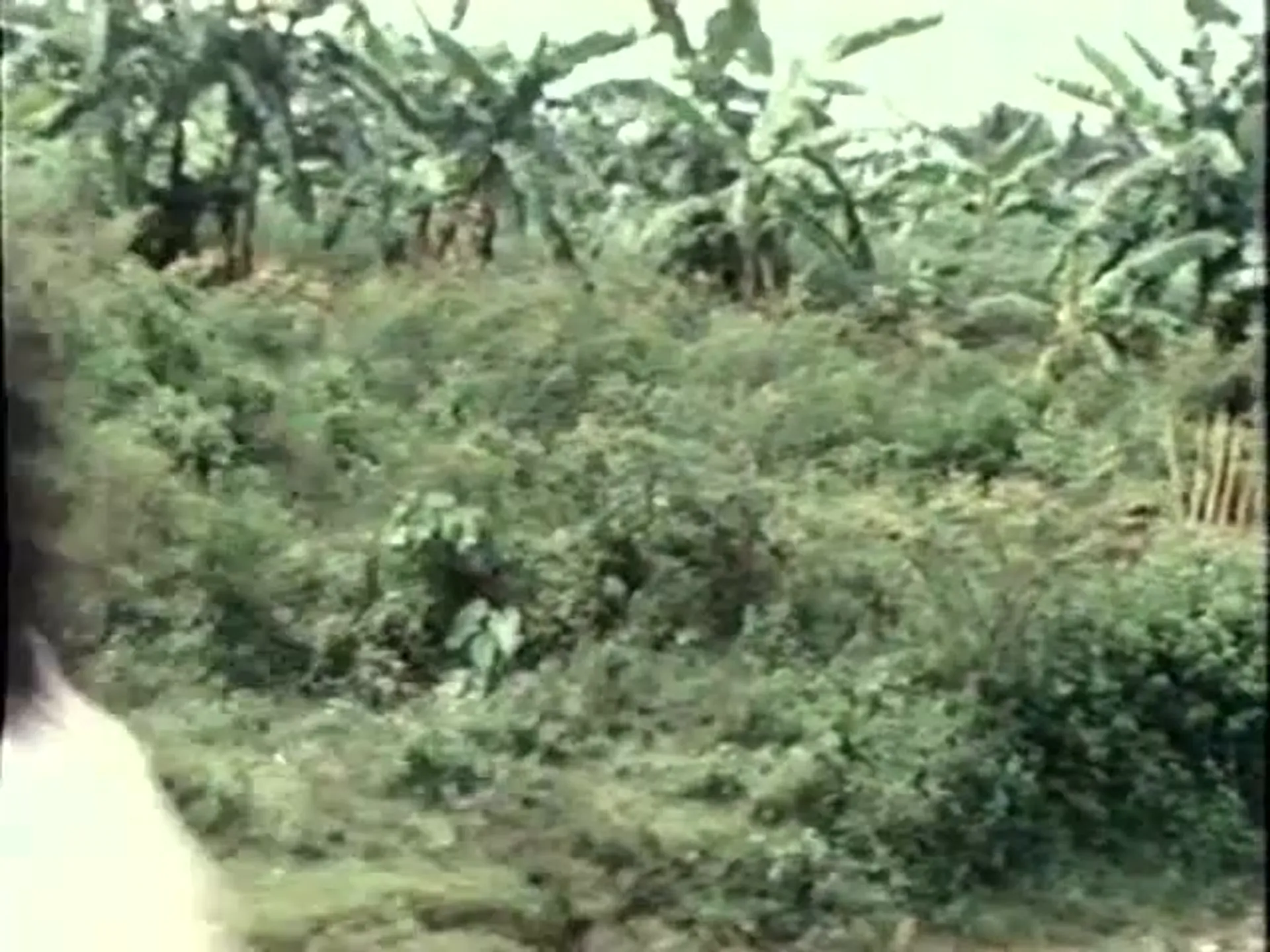 Special Silencers scene still 5