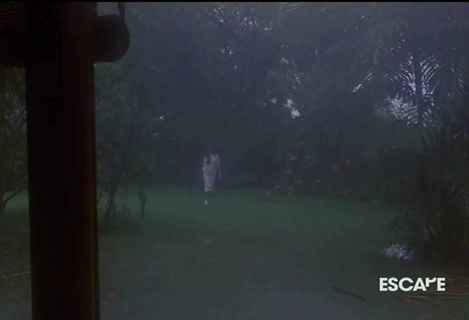 Passion Flower scene still 4