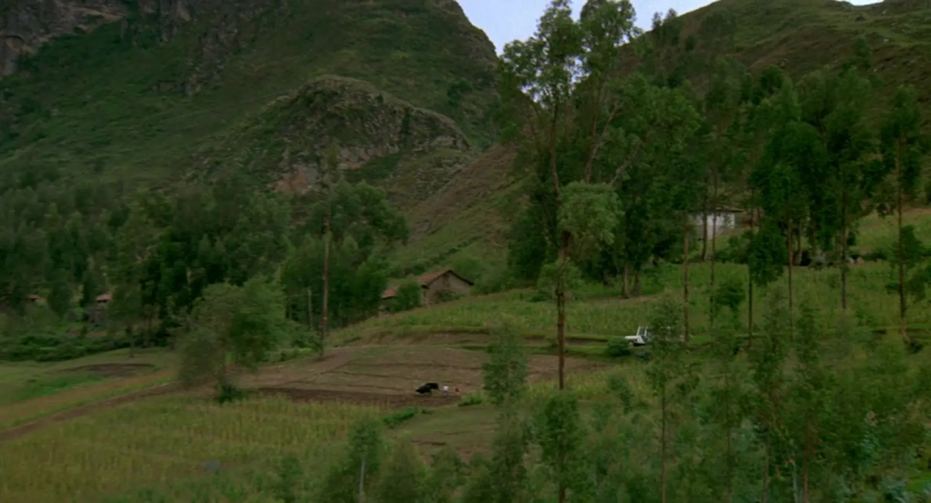 Vibes scene still 4