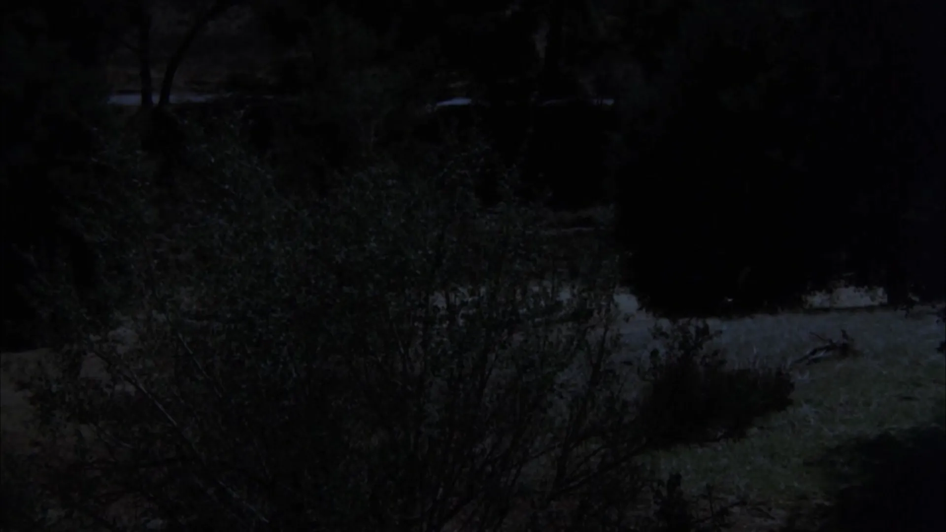 Werewolves on Wheels scene still 5