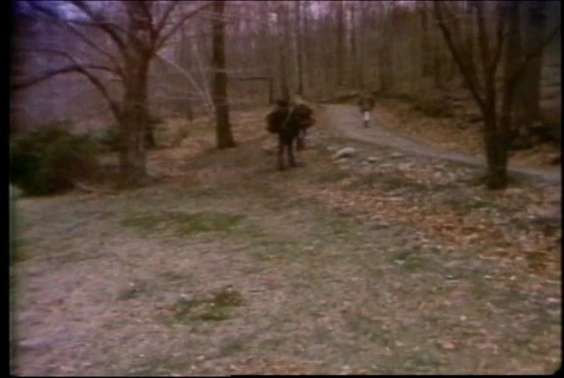Shriek of the Mutilated scene still 5