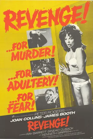 Revenge (1971) Movie Poster - SassyFlix