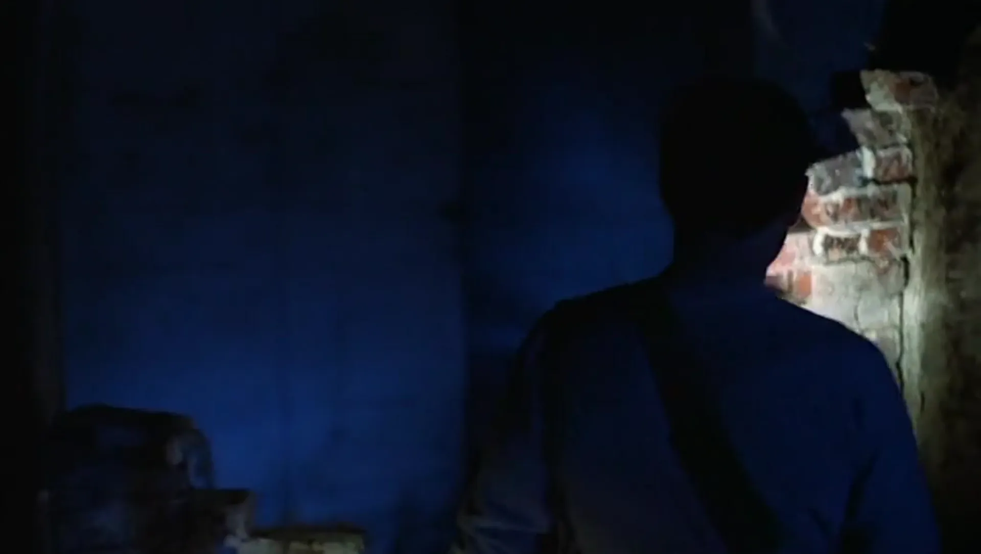 Alligator scene still 3