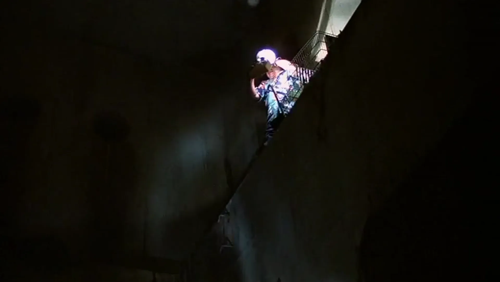 Alligator scene still 1