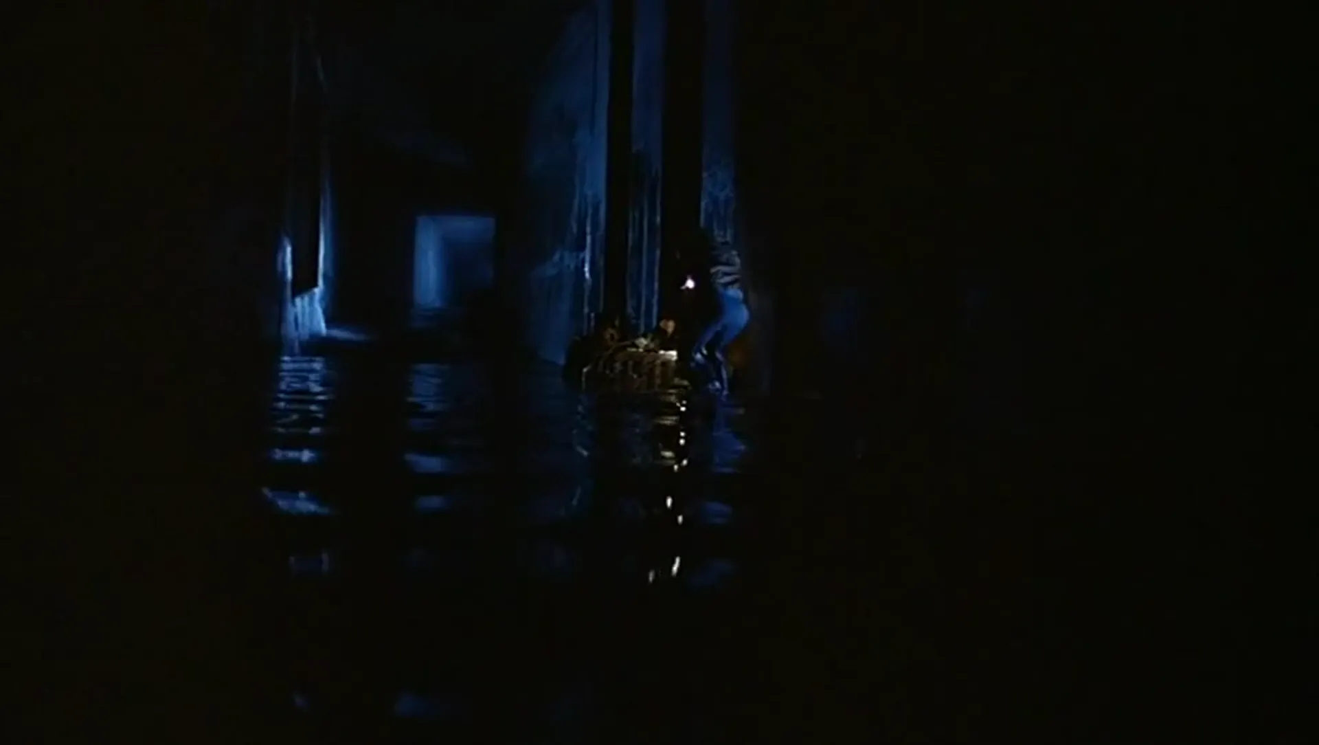 Alligator scene still 5