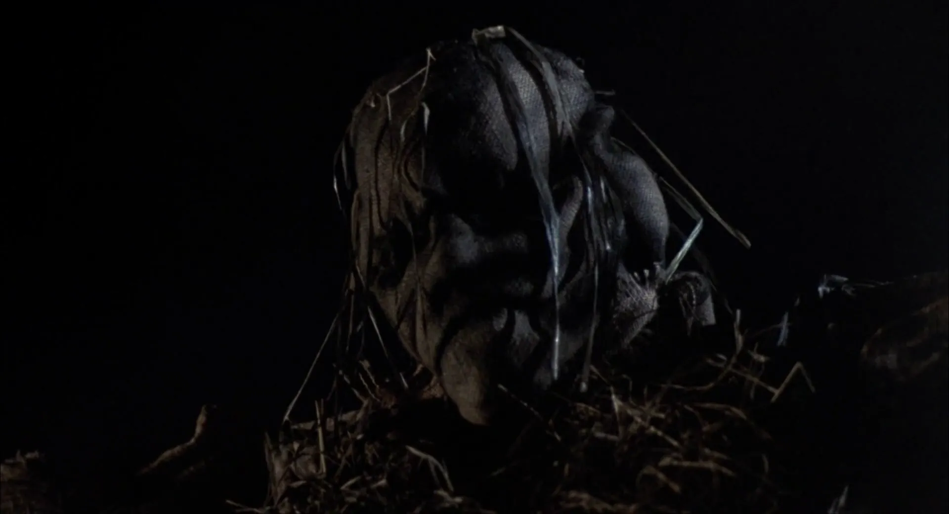 Scarecrows scene still 3