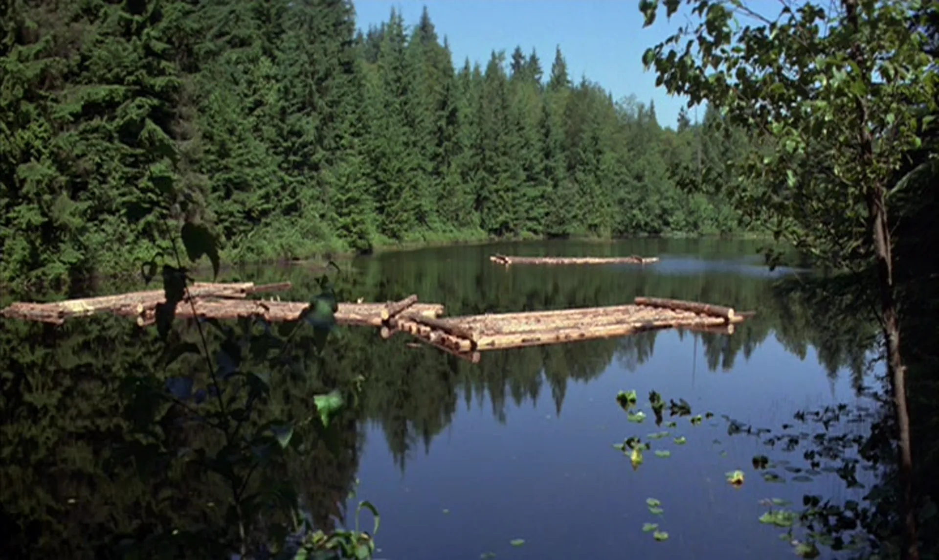 Prophecy scene still 5