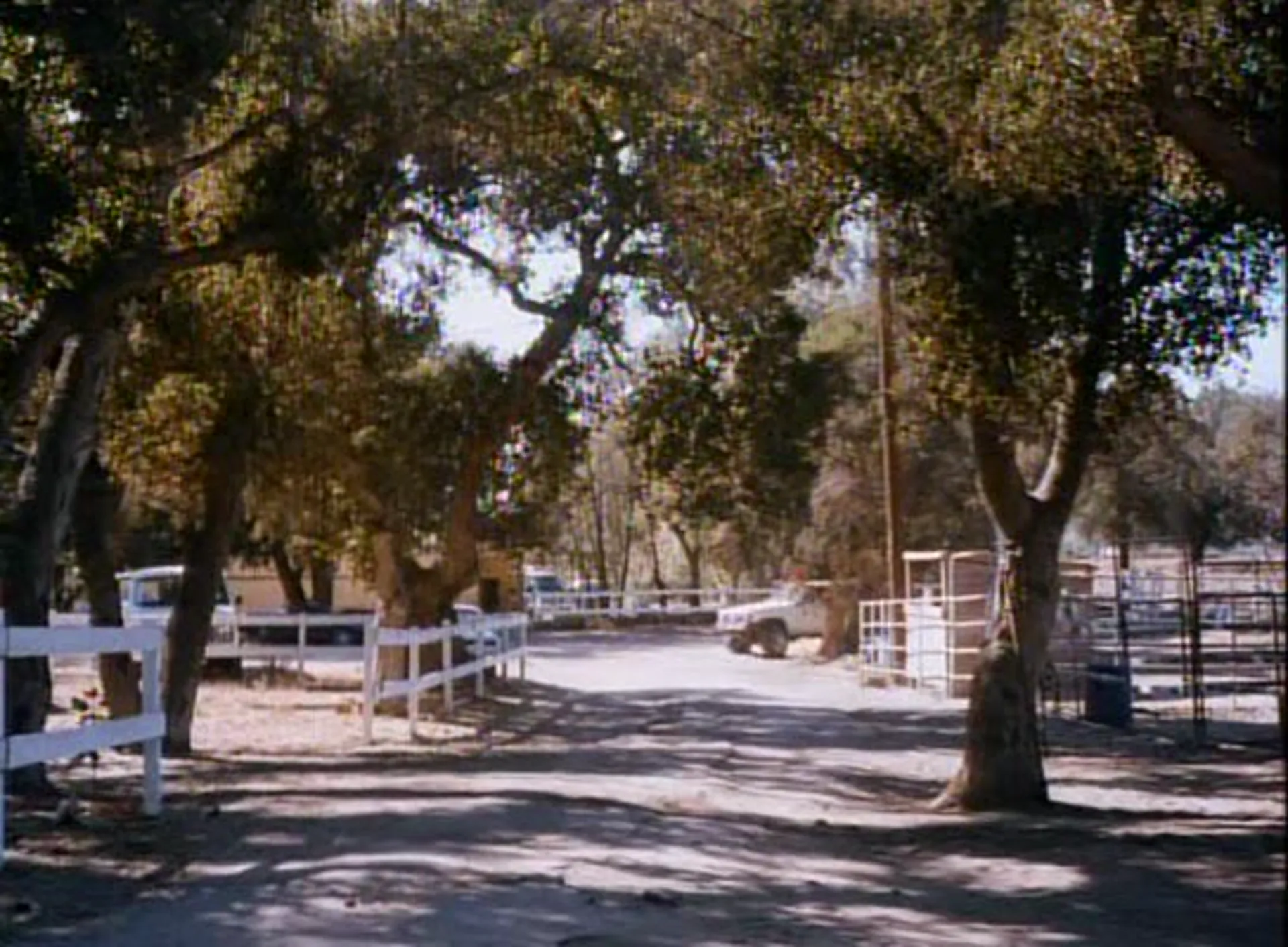 Werewolf scene still 1