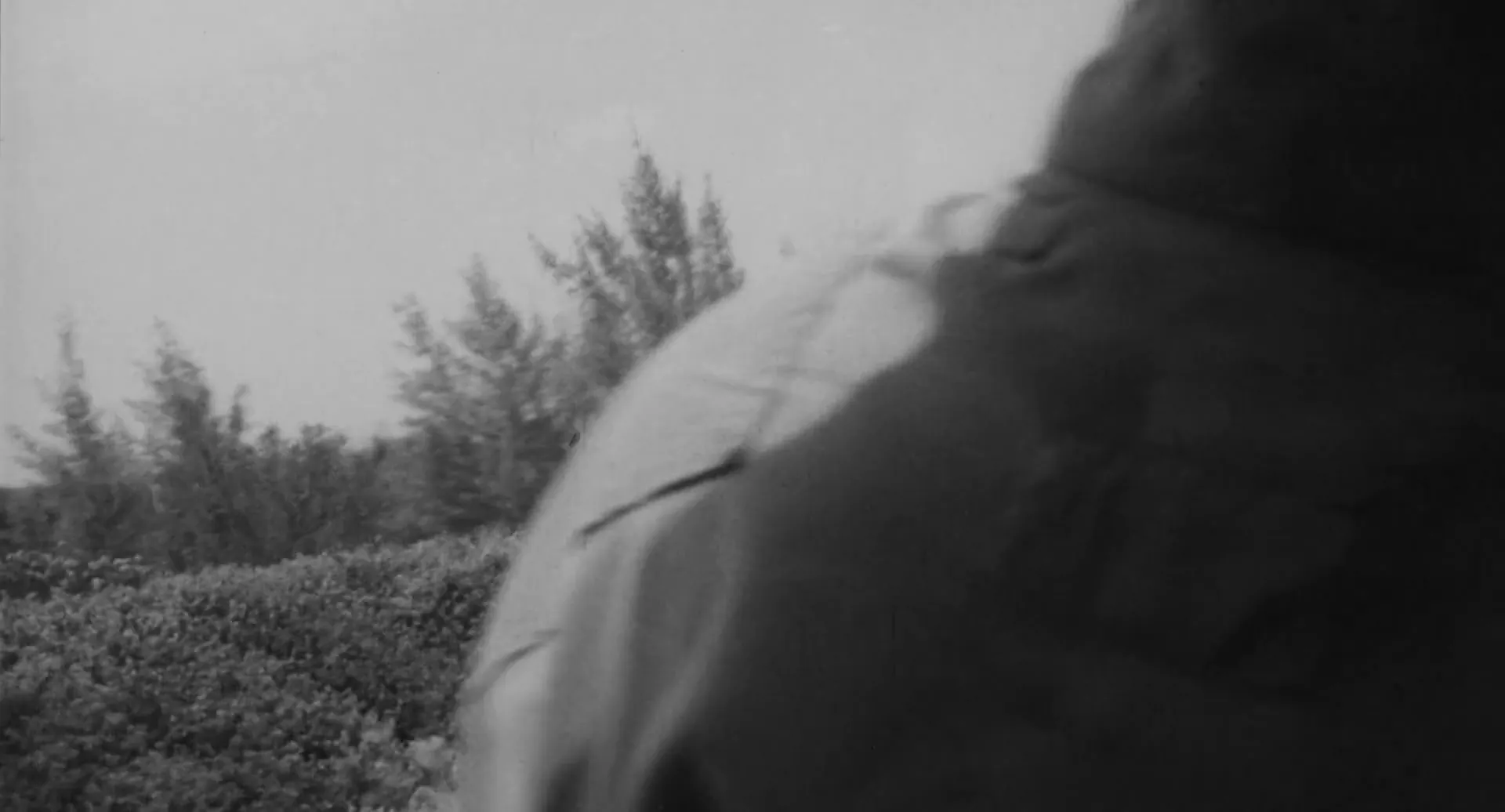 I Eat Your Skin scene still 2