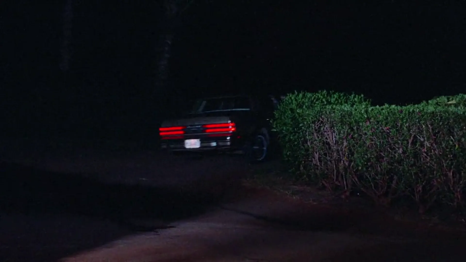 Hard Ticket to Hawaii scene still 4