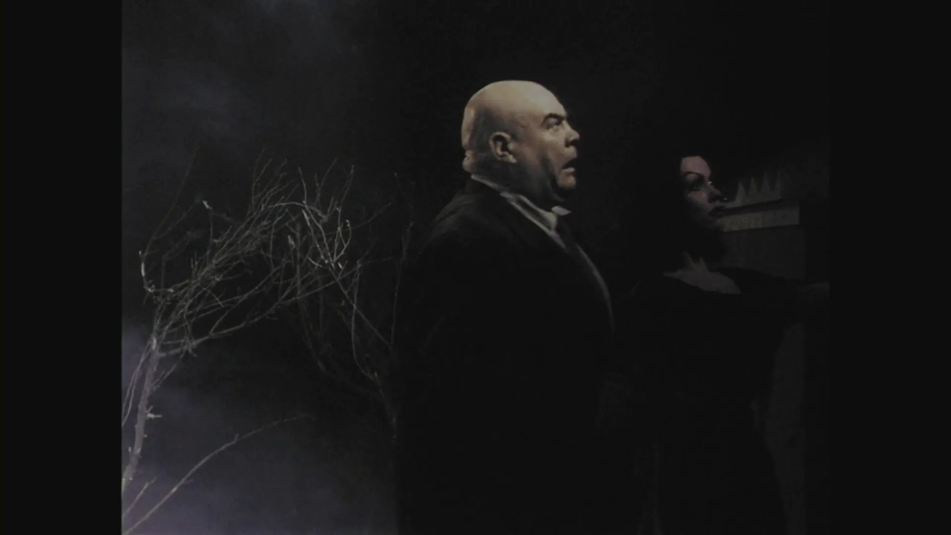 Plan 9 from Outer Space scene still 6