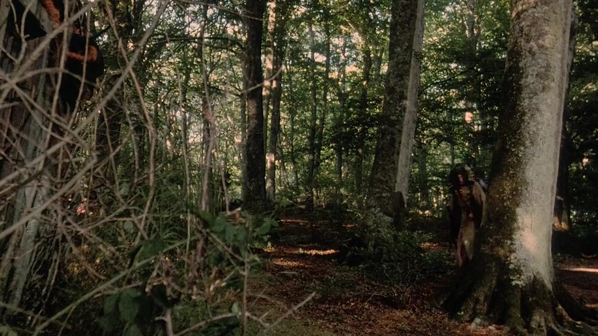 The Barbarians scene still 5
