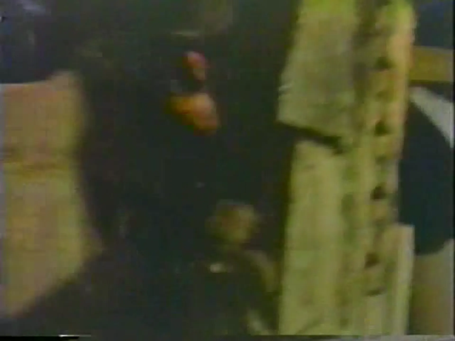 The Legend of Nigger Charley scene still 2