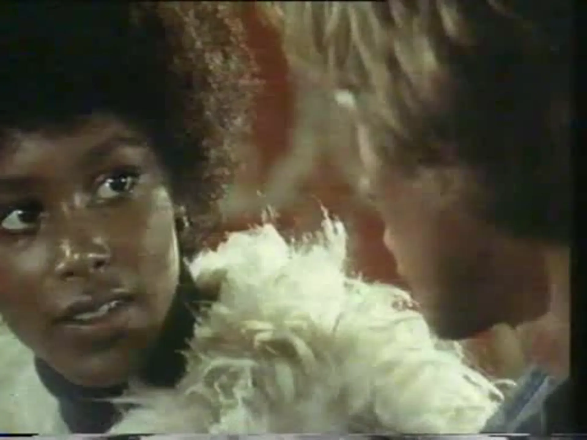 Honky scene still 1
