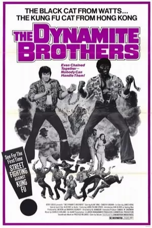 Dynamite Brothers (1974) Movie Poster - SassyFlix
