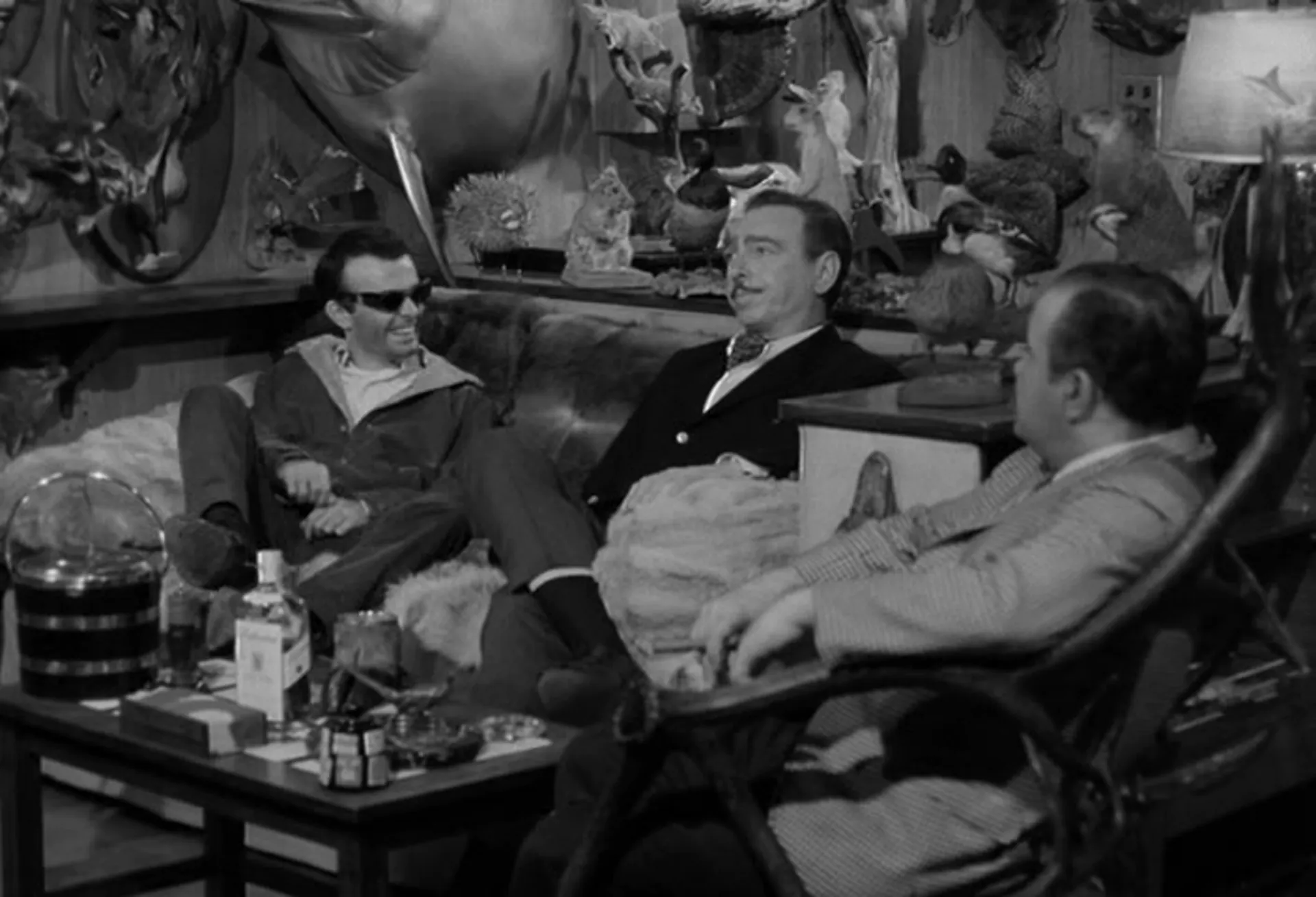 Confessions of a Psycho Cat scene still 2