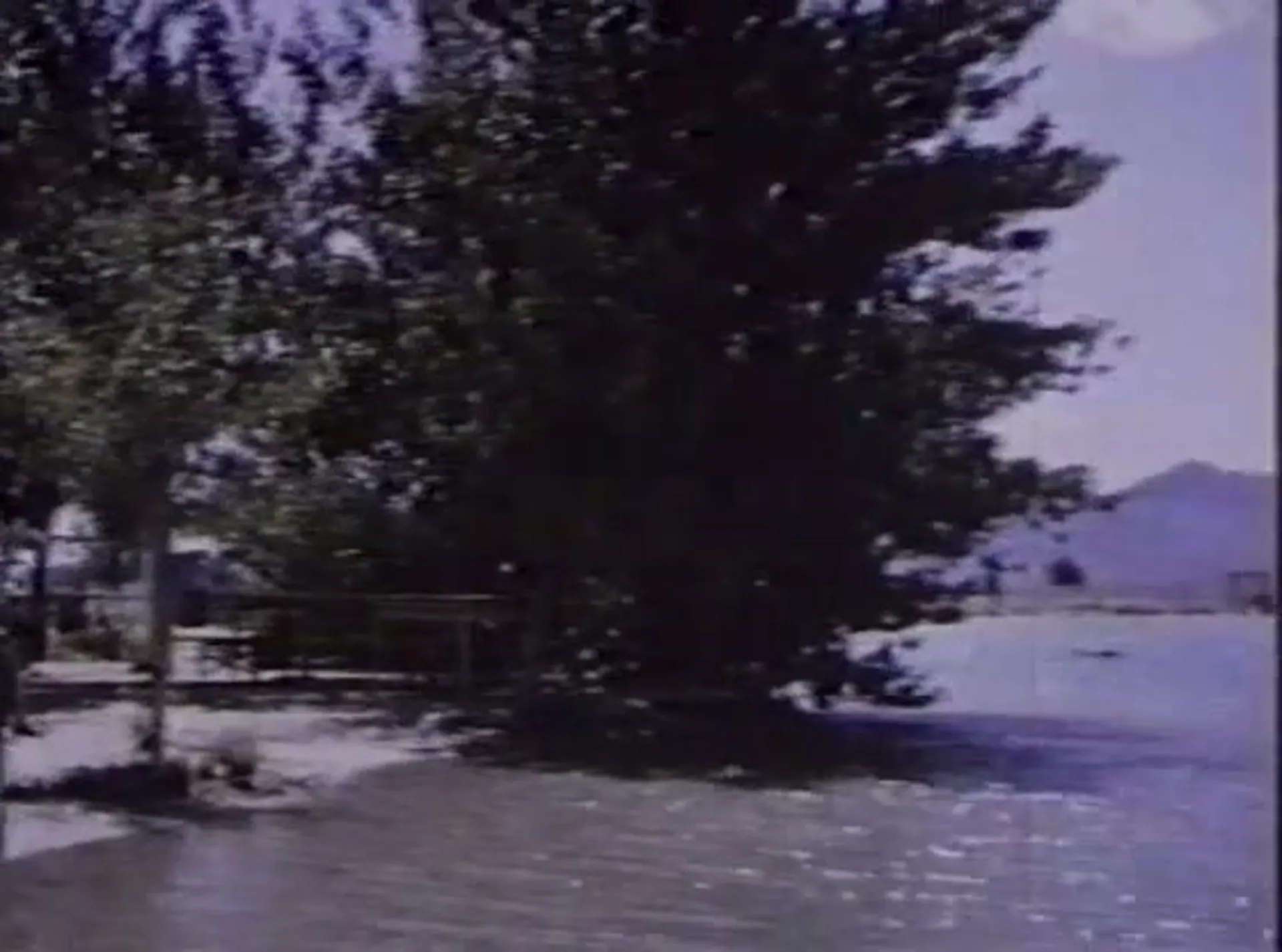 The Young Cycle Girls scene still 6