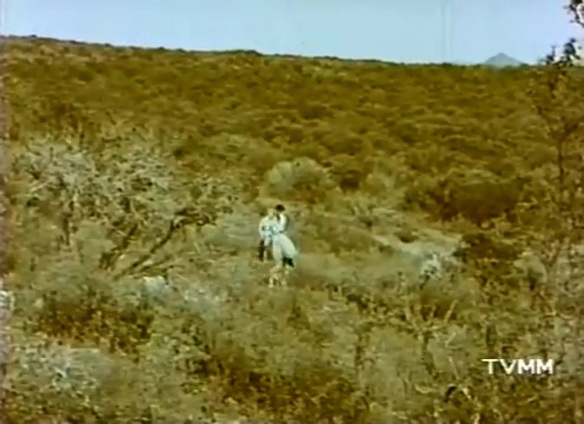 Five Bold Women scene still 3