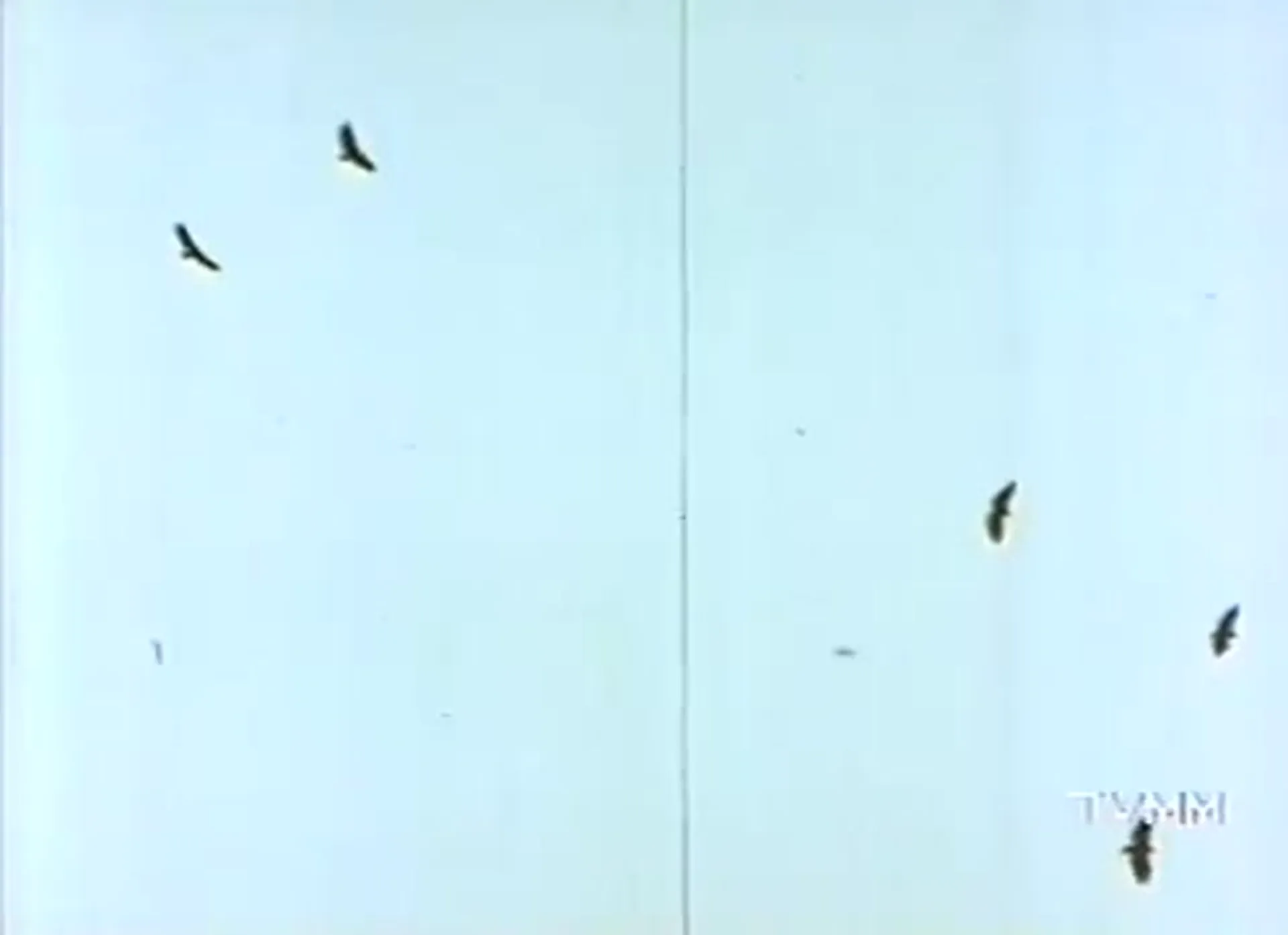 Five Bold Women scene still 8