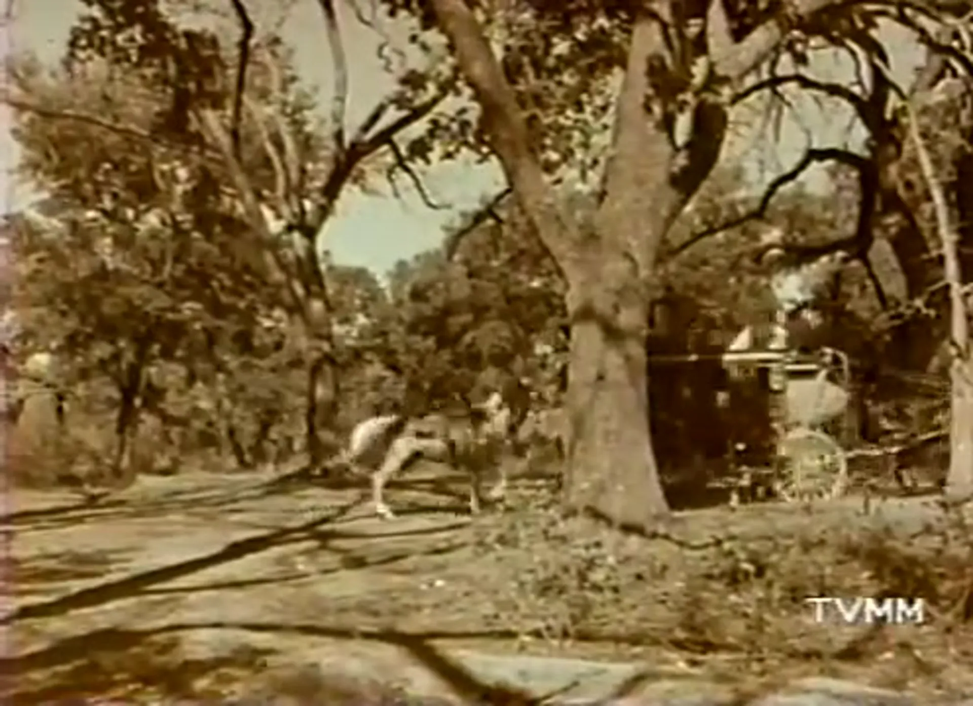 Five Bold Women scene still 12