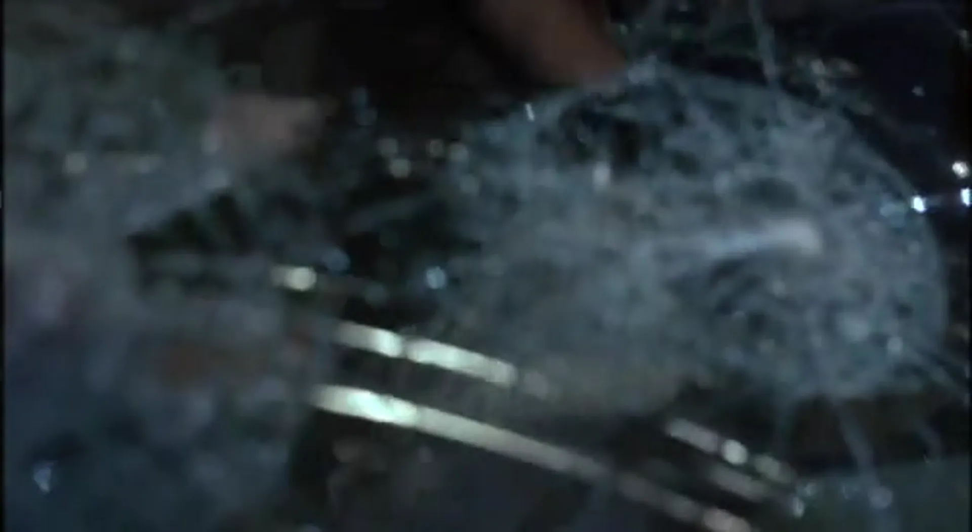 Eye of the Tiger scene still 2